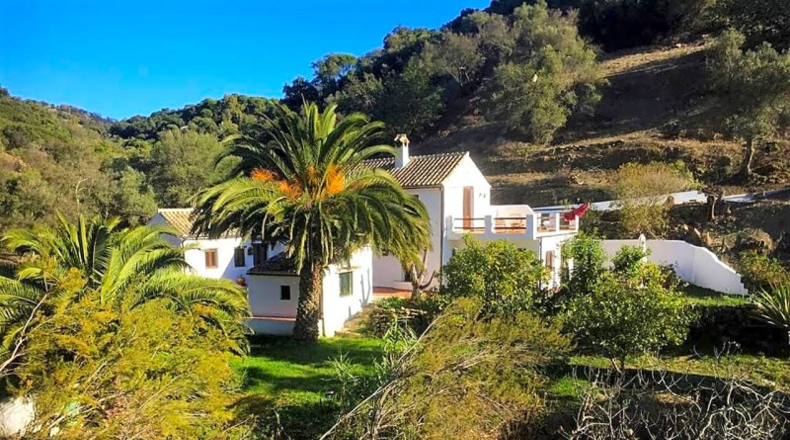 Malaga - Casares - 30000m2