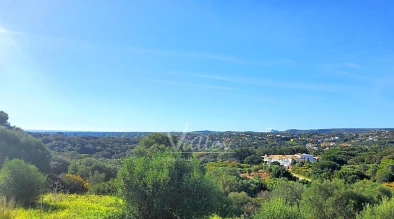 Cádiz - San Roque - 2690m2