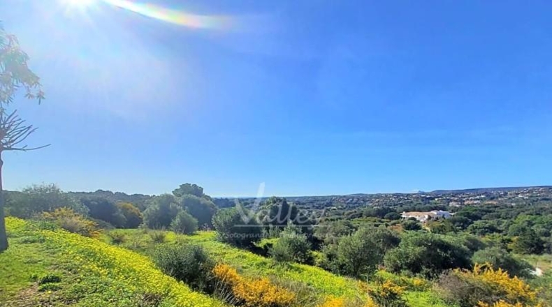 Cádiz - San Roque - 2690m2