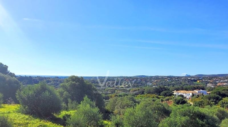 Cádiz - San Roque - 2690m2