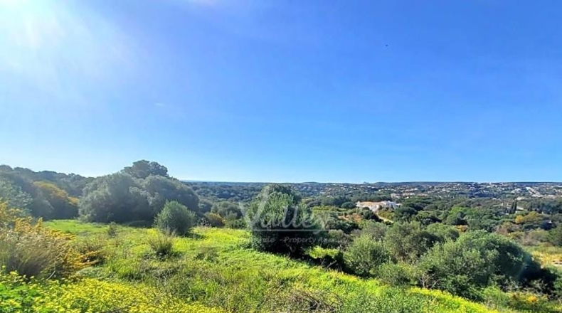 Cádiz - San Roque - 2690m2