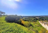 Parcel·la urbanitzable en venda a la España, San Roque, ref.: TR117667 foto