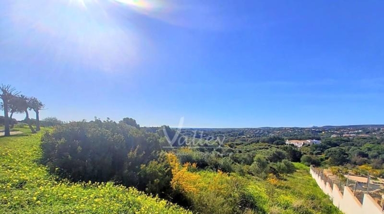 Cádiz - San Roque - 2690m2