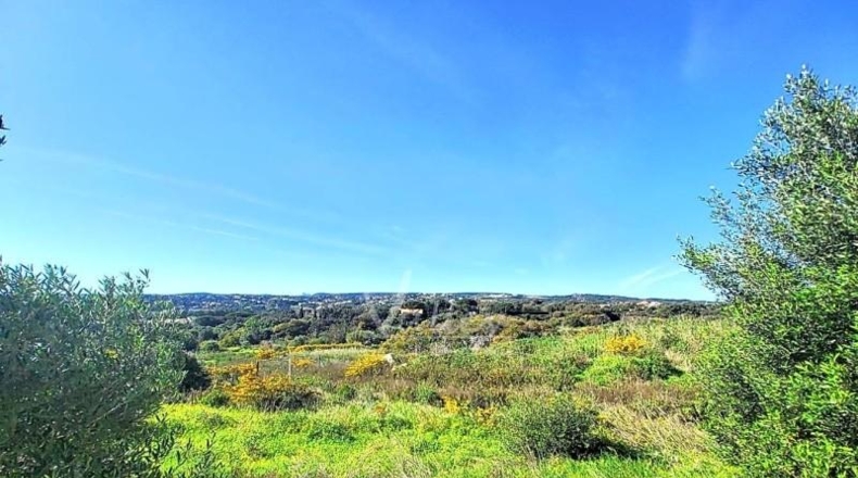 Cádiz - San Roque - 2690m2