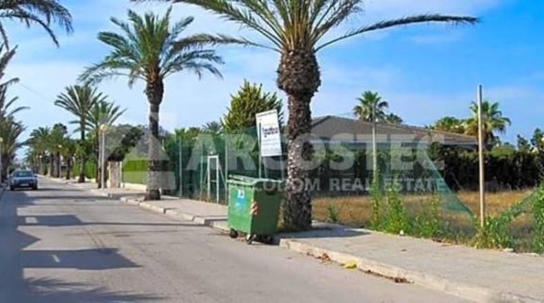Alicante - Orihuela - 1200m2