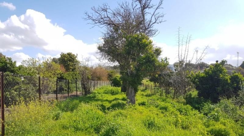 Cádiz - Vejer de la Frontera - 7000m2