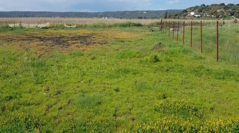 Cádiz - Vejer de la Frontera - 7000m2
