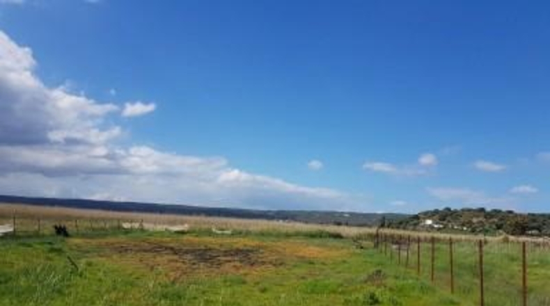 Cádiz - Vejer de la Frontera - 7000m2