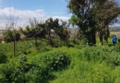 Casa amb terreny en venda a la España, Vejer de la Frontera, ref.: TR304115 foto