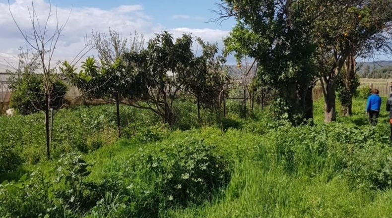 Cádiz - Vejer de la Frontera - 7000m2