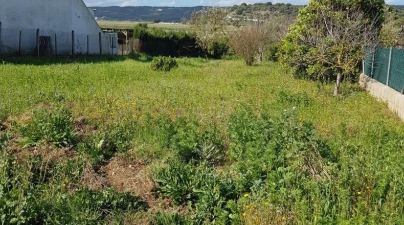 Cádiz - Vejer de la Frontera - 7000m2