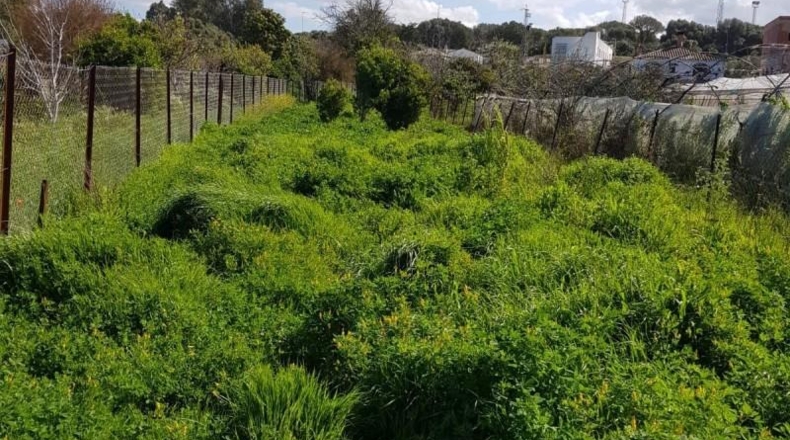 Cádiz - Vejer de la Frontera - 7000m2