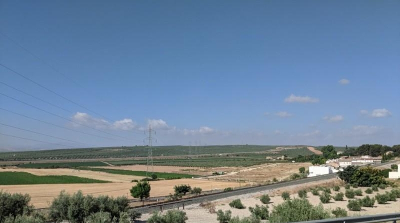 Granada - Íllora - 40000m2