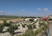 Parcela urbanizable en venta en la España, Íllora, ref: TR115463 foto