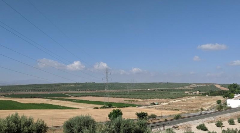 Granada - Íllora - 40000m2