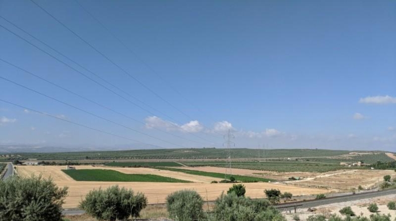 Granada - Íllora - 40000m2