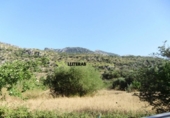 Detached villa with land for sale on España, Bunyola, ref: TR136047 photo