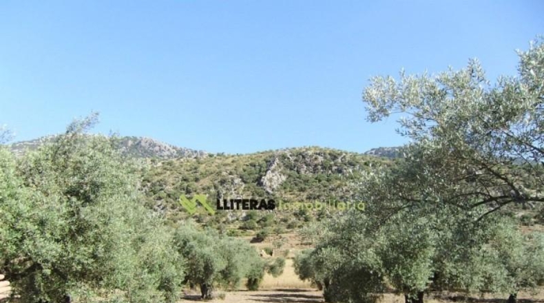 Islas Baleares - Bunyola - 51713m2