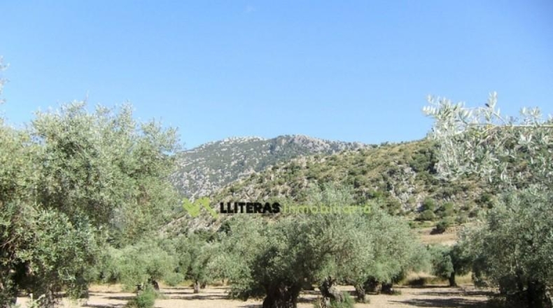 Islas Baleares - Bunyola - 51713m2