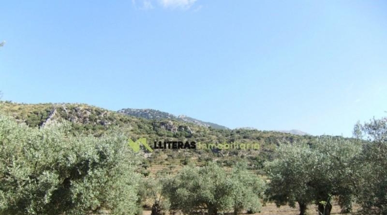 Islas Baleares - Bunyola - 51713m2