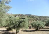 Detached villa with land for sale on España, Bunyola, ref: TR136047 photo