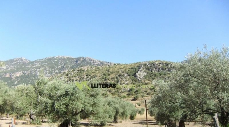 Islas Baleares - Bunyola - 51713m2