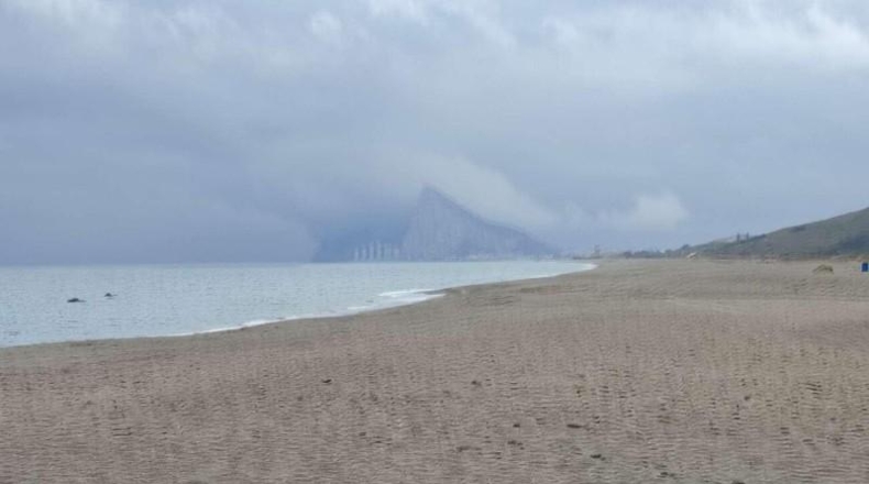 Almeria - Almería - 1109m2