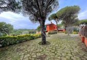 Chalet independiente con terreno en venta en la España, Calella de Palafrugell, ref: TR141818 foto