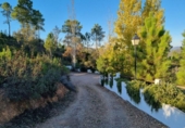 Casa de poble en venda a la España, La Nava, ref.: TR315495 foto