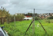 Sòl urbà en venda a la España, Algesires, ref.: TR370062 foto