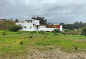 Sòl urbà en venda a la España, Algesires, ref.: TR370062 foto