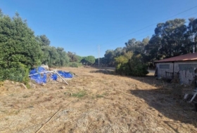 Foto 14