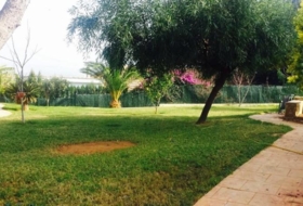 Picassent 1400&nbsp;m²