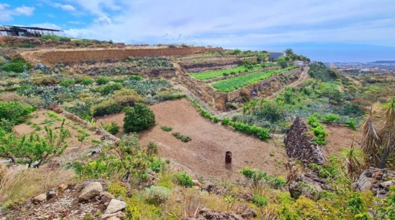 Santa Cruz de Tenerife - Candelaria - 3054m2