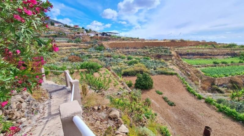 Santa Cruz de Tenerife - Candelaria - 3054m2