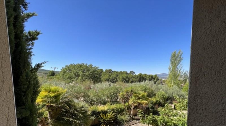 Alicante - Ibi - 55000m2