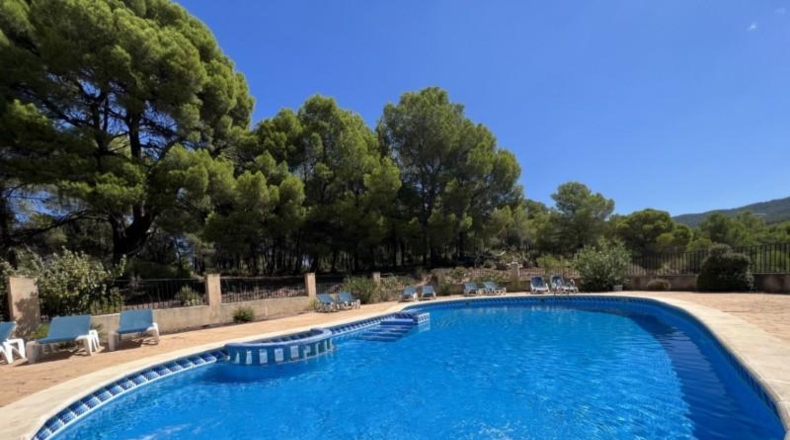 Alicante - Ibi - 55000m2