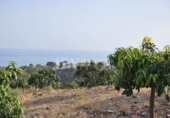 Land suitable for development for sale on España, Vélez-Málaga, ref: TR169113 photo