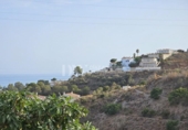 Land suitable for development for sale on España, Vélez-Málaga, ref: TR169113 photo