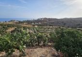 Land suitable for development for sale on España, Vélez-Málaga, ref: TR169113 photo