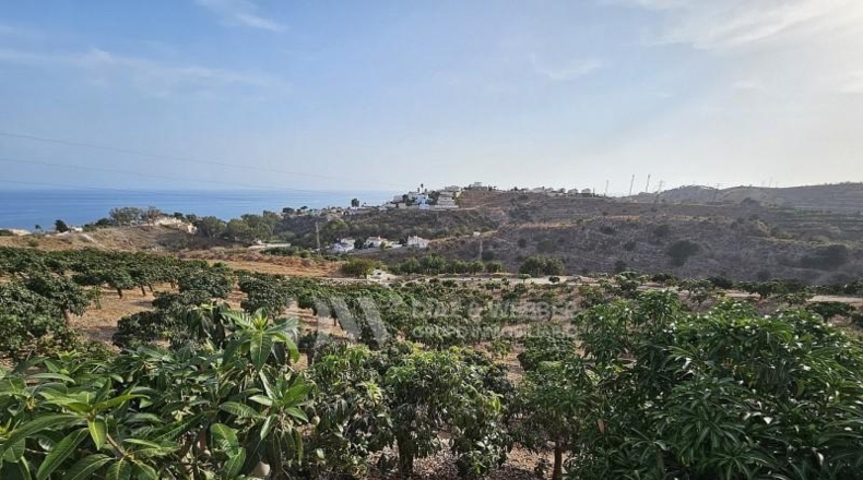 Málaga - Vélez-Málaga - 36000m2
