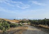 Land suitable for development for sale on España, Vélez-Málaga, ref: TR169113 photo