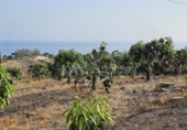 Land suitable for development for sale on España, Vélez-Málaga, ref: TR169113 photo