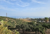 Land suitable for development for sale on España, Vélez-Málaga, ref: TR169113 photo