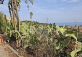 Land suitable for development for sale on España, Vélez-Málaga, ref: TR169113 photo