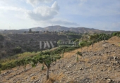 Land suitable for development for sale on España, Vélez-Málaga, ref: TR169113 photo