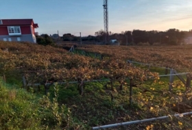 Sangenjo 5393&nbsp;м²