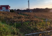Land suitable for development for sale on España, Sanxenxo, ref: TR125606 photo