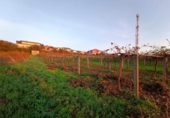 Land suitable for development for sale on España, Sanxenxo, ref: TR125606 photo