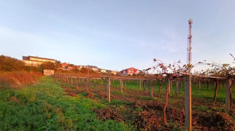 Pontevedra - Sanxenxo - 5393m2